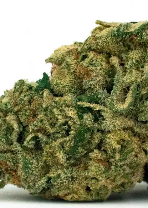 Golden Gas