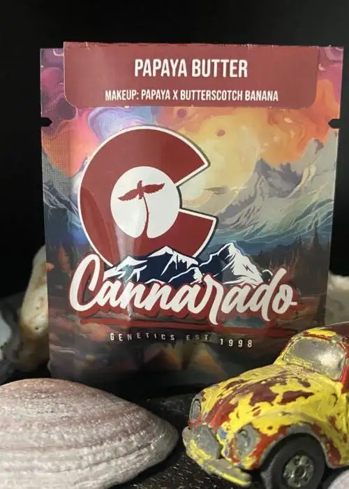 Papaya Butter