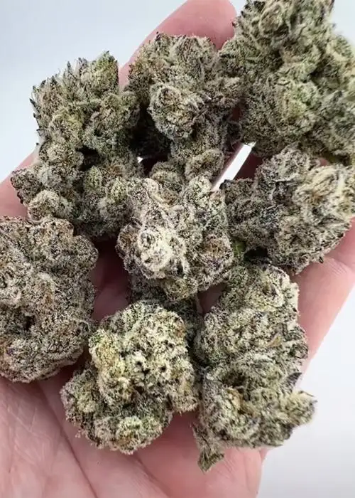 Bubble Up