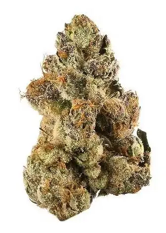 Crypto Gelato