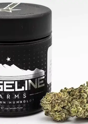 Ridgeline Rebel