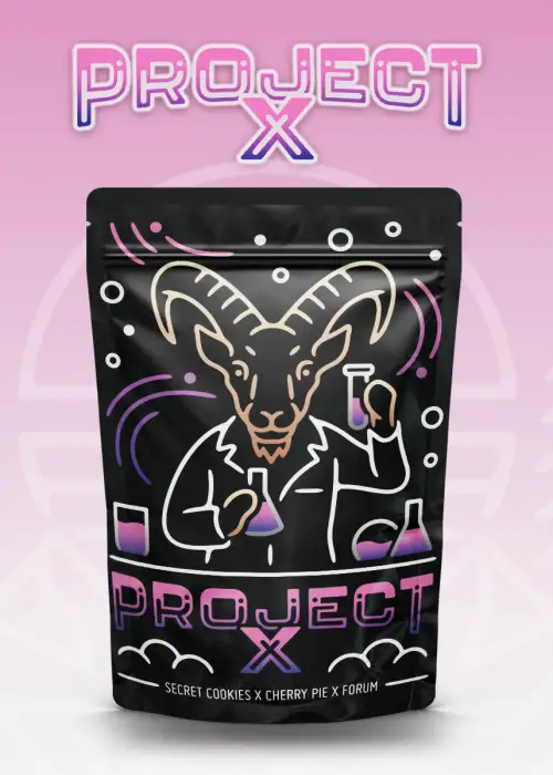 Project X