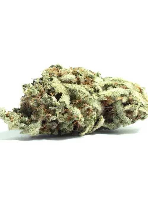 Animal Kush Mints