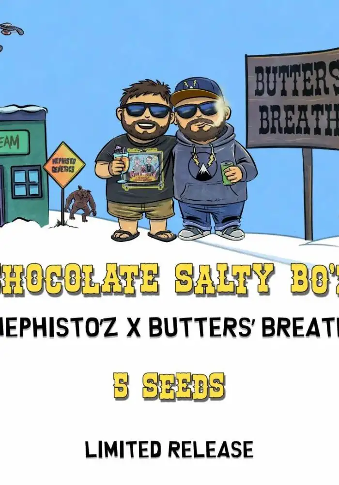 Chololate Salty Bo'z Auto
