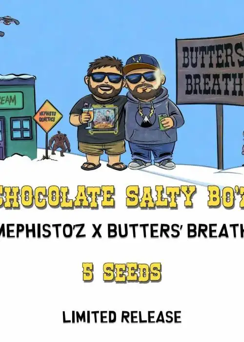 Chololate Salty Bo'z