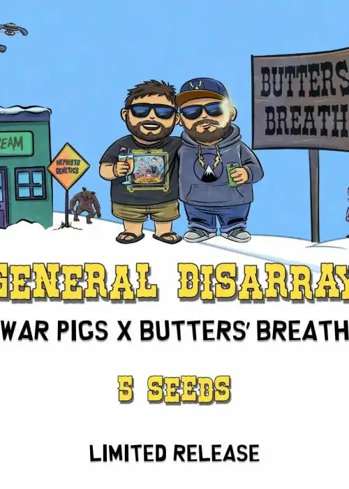 General Disarray