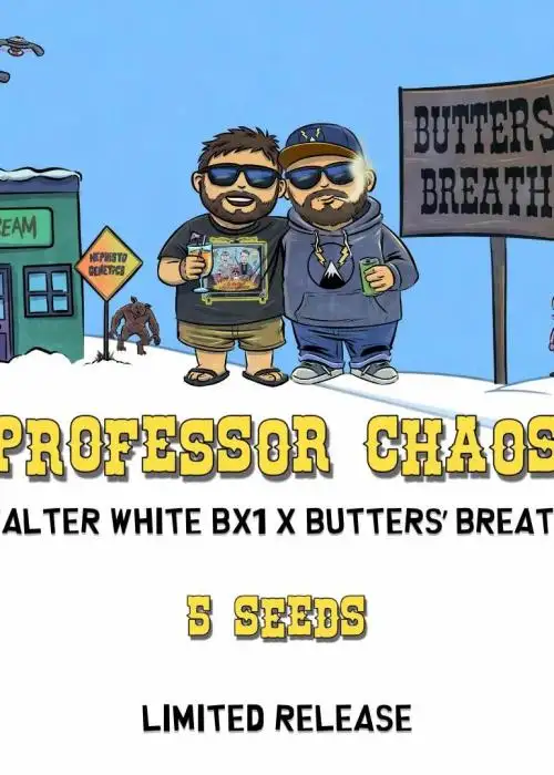Professo Chaos