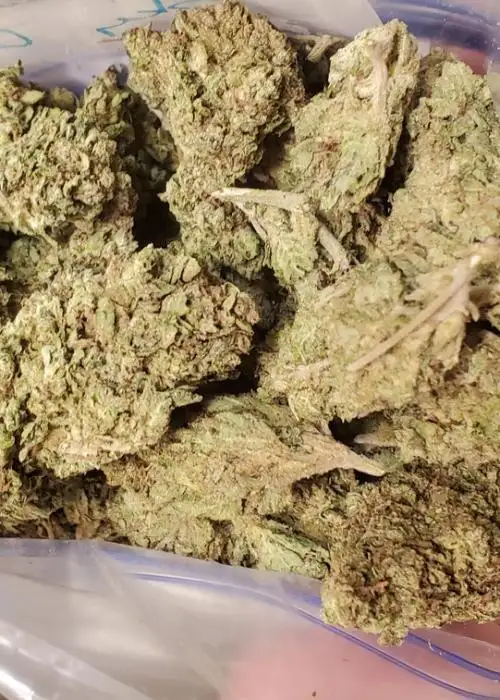 Skyline OG
