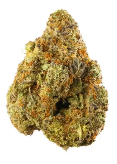 Grape Bum