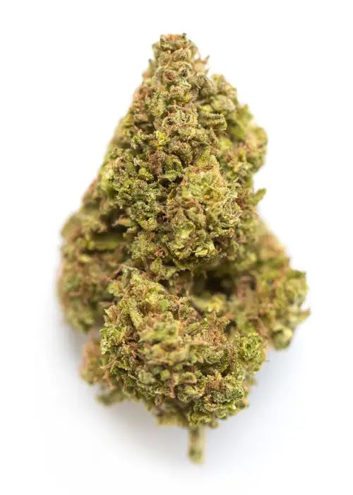 Raspberry Glue