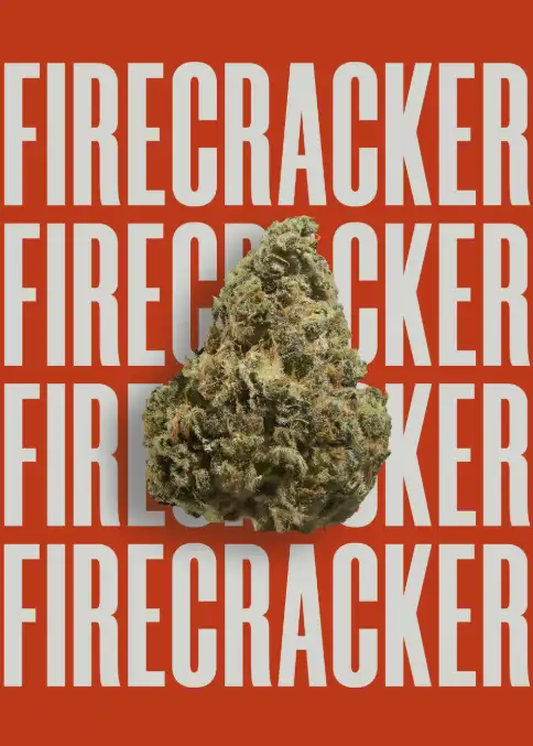 Firecracker