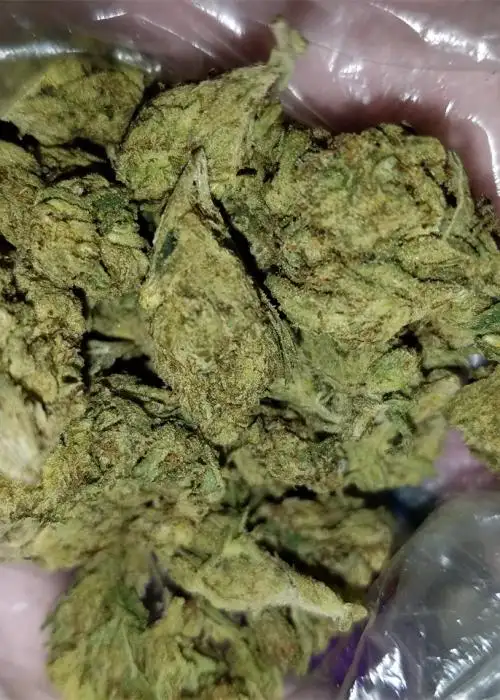 Alpha OG