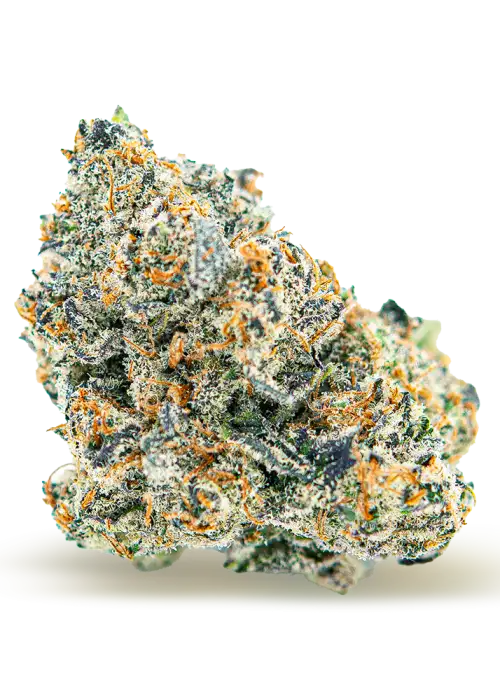 Granny Smith
