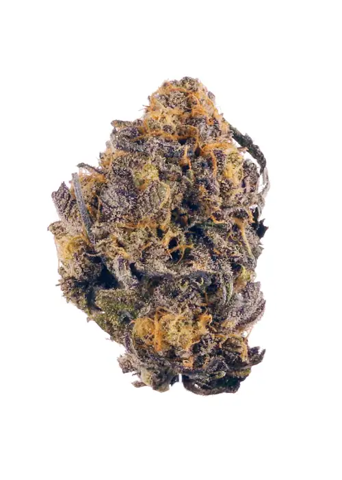 Purple Animal Cookies