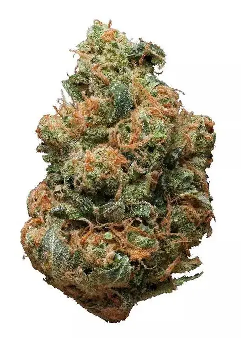 Skunky Diesel