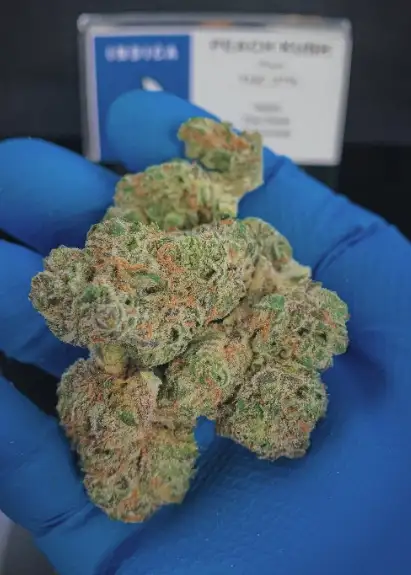 Peach Kush