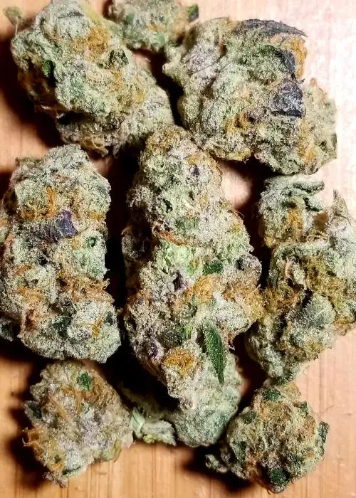 Wizard Gum