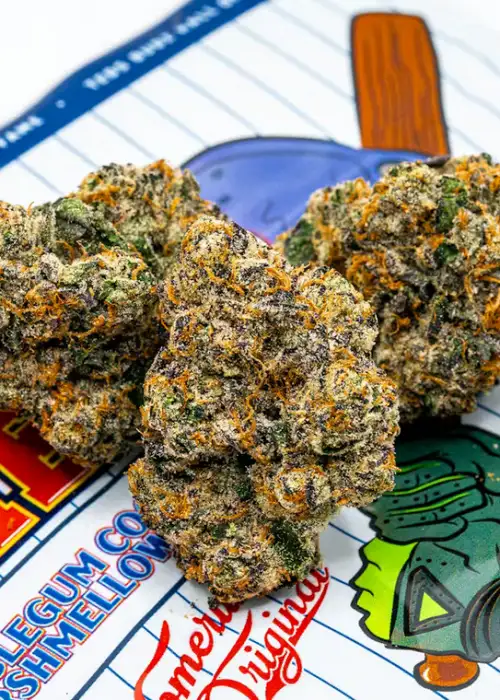 Major League Chew