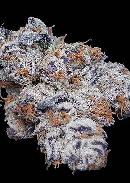 Mint Berry Kush