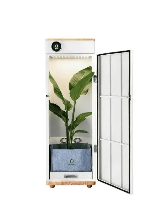 Automated Grow Box Soil Edition