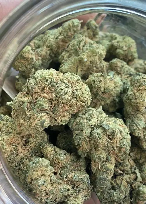 Pineapple Super Silver Haze