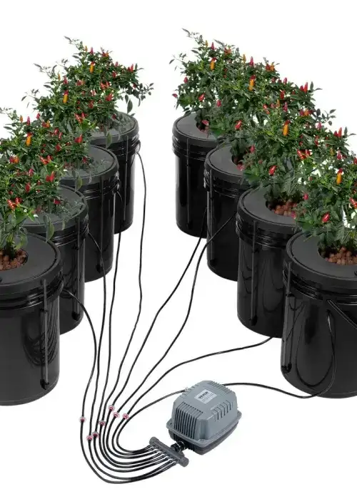 DWC Hydroponics Grow System 5-Gallon 8 Buckets