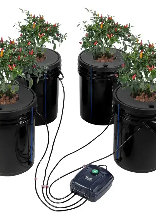 DWC Hydroponics Grow 5-Gallon 4 Buckets