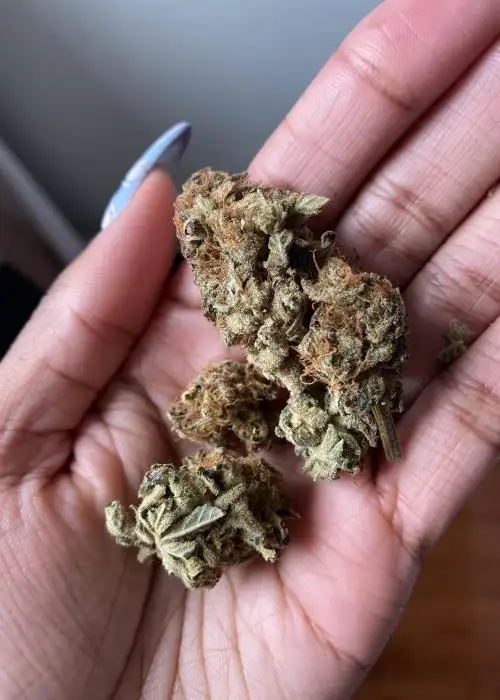 Sky Cuddler Kush