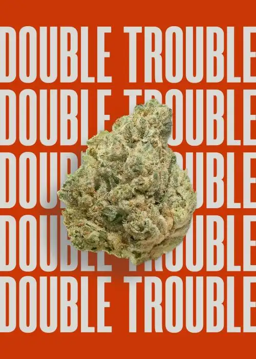 Double Trouble