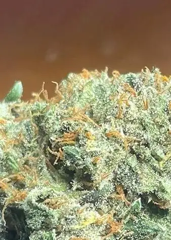 Sirius Blue