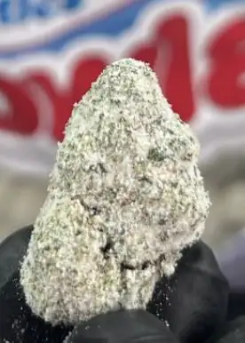 Snowlato