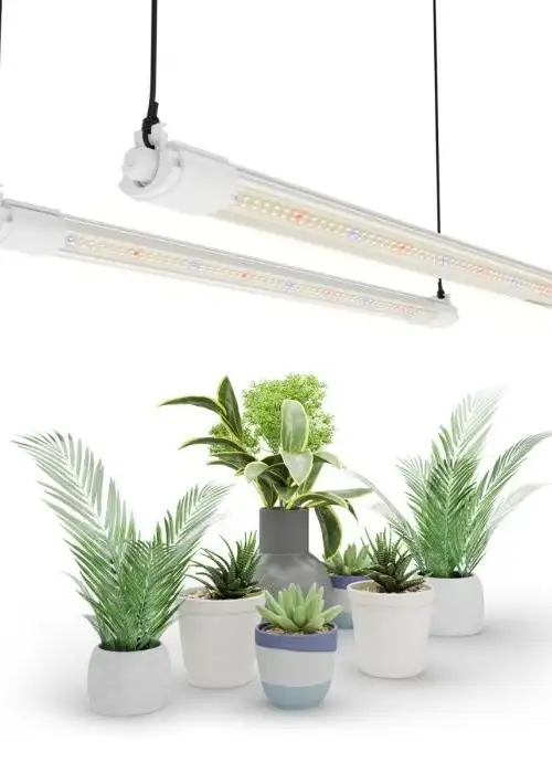 VG40 40W 2FT LED T5 Grow Light