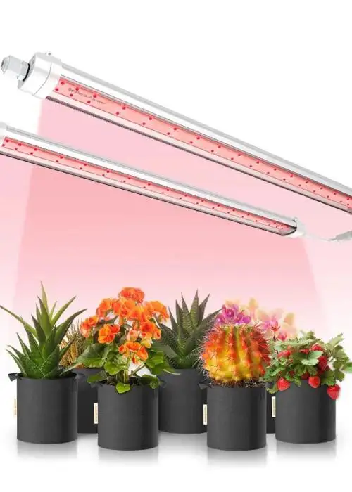 GlowR40
