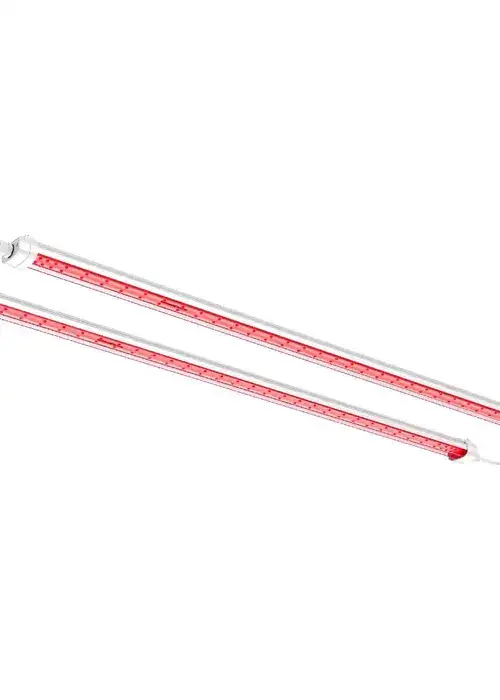GlowR80