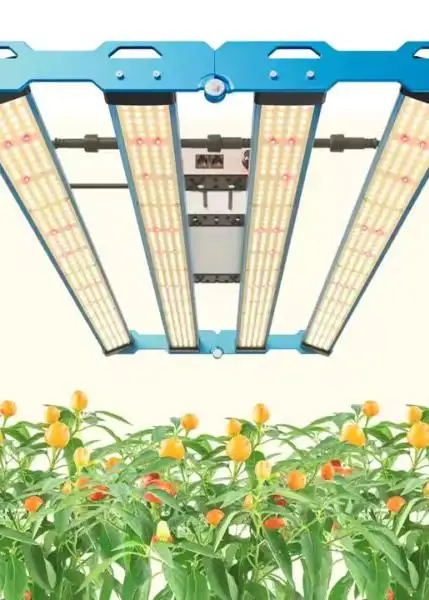 P55 320W Full Spectrum LED Grow Light