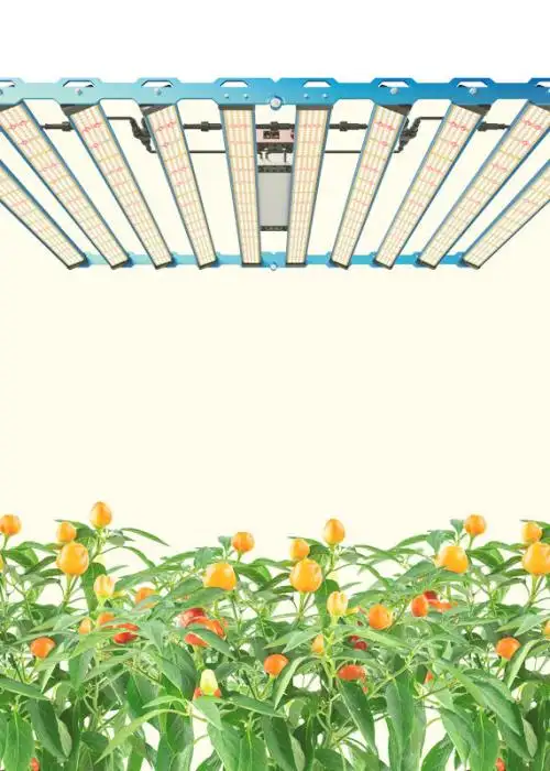 P55 1000W Rotatable LED Grow Light