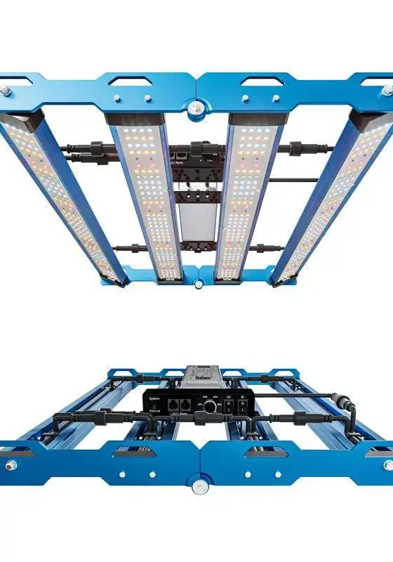 P55 240W Mint White + Emerald Green LED
