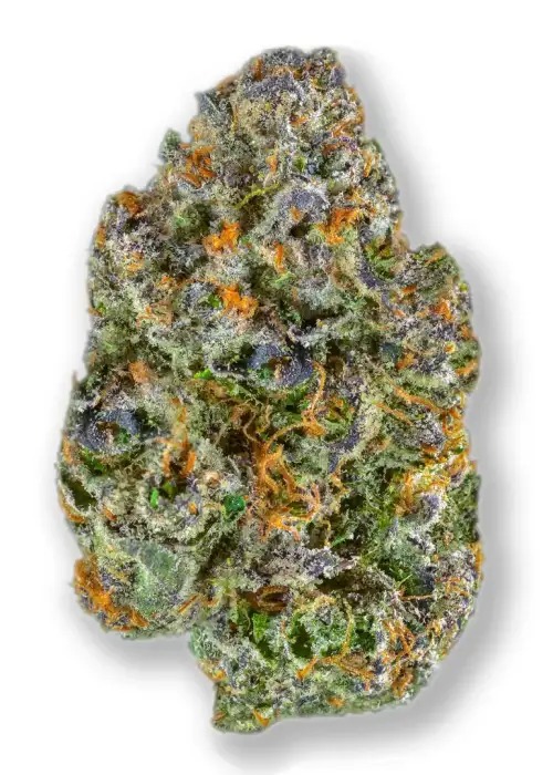 Blue Nerdz