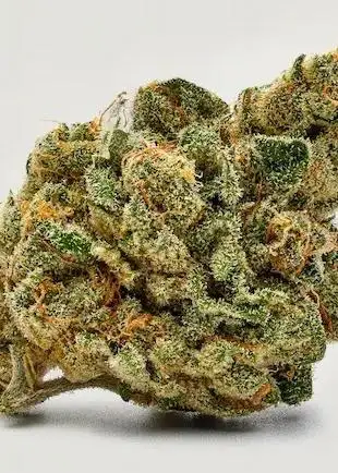 Lemon Cherry Congo
