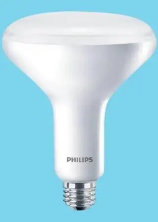 GreenPower LED Flowering Lamp