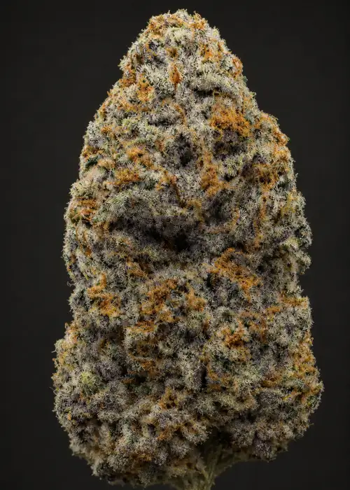 Swerve's Purple Kush S1