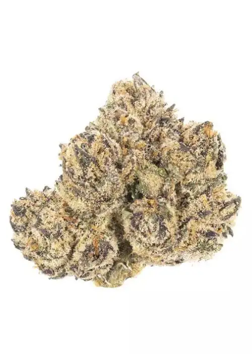 Gelato White Gummy