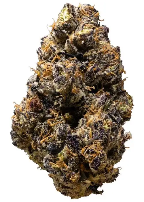 Michigan Melonz