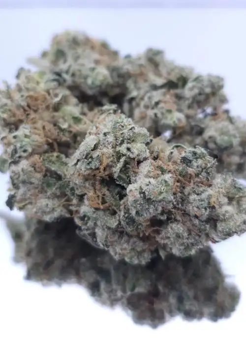 Pineapple Crush