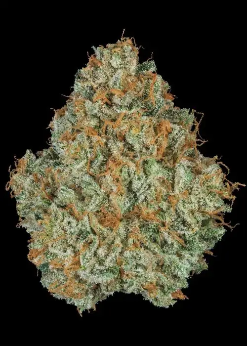 RBZL