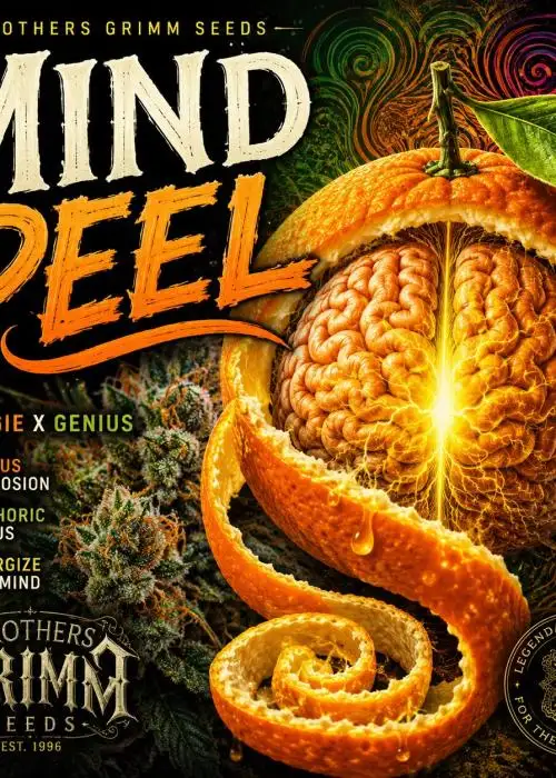 Mind Peel