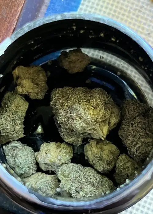 Dank AF