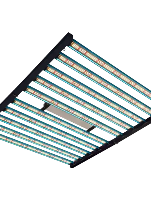 Meijiu M125 1000W
