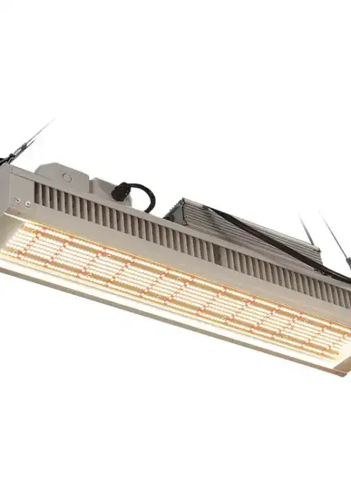PTU 01 320W V3