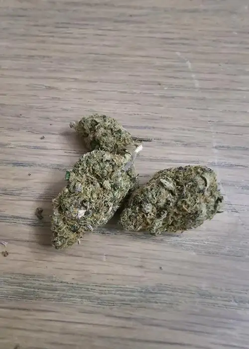 Frost Berry